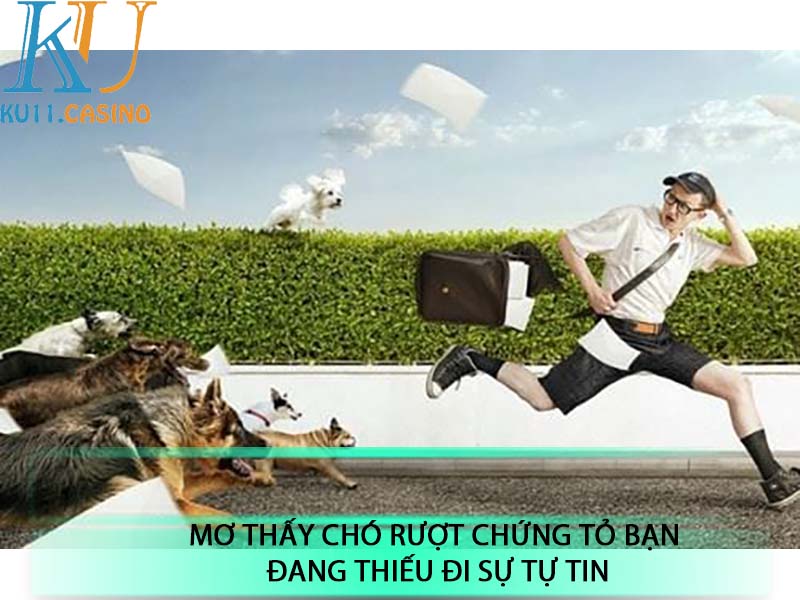 mơ thấy chó cắn