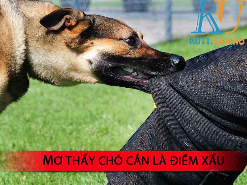 mơ thấy chó cắn 