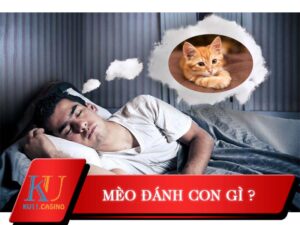 mèo đánh con gì